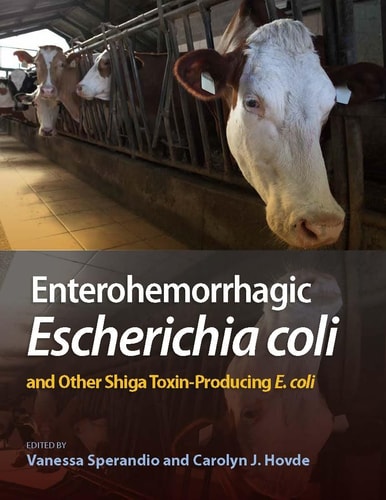 Enterohemorrhagic Escherichia coli and Other Shiga Toxin-Producing E. coli