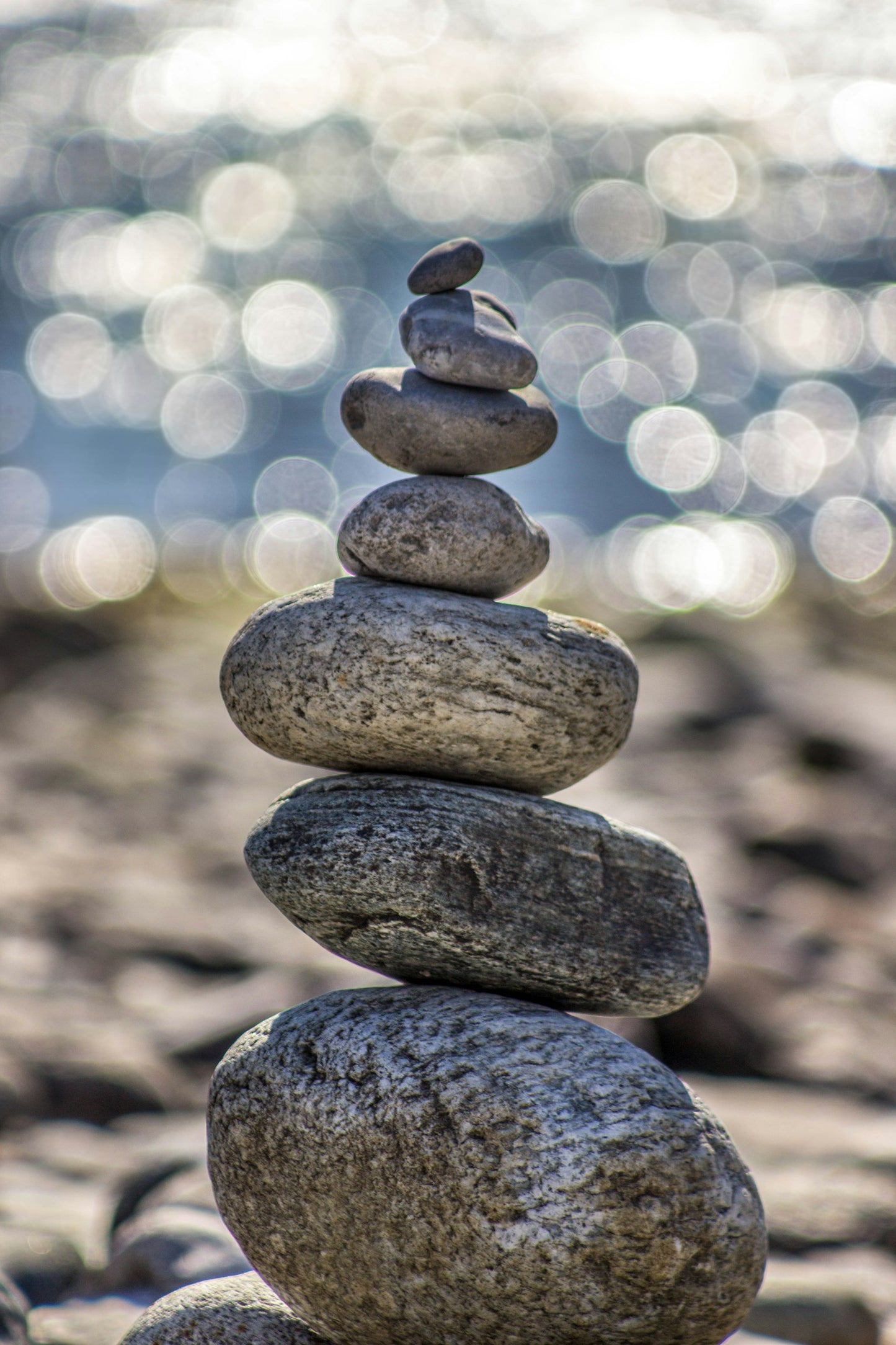 Living Green:A Practical Guide to Simple Sustainability