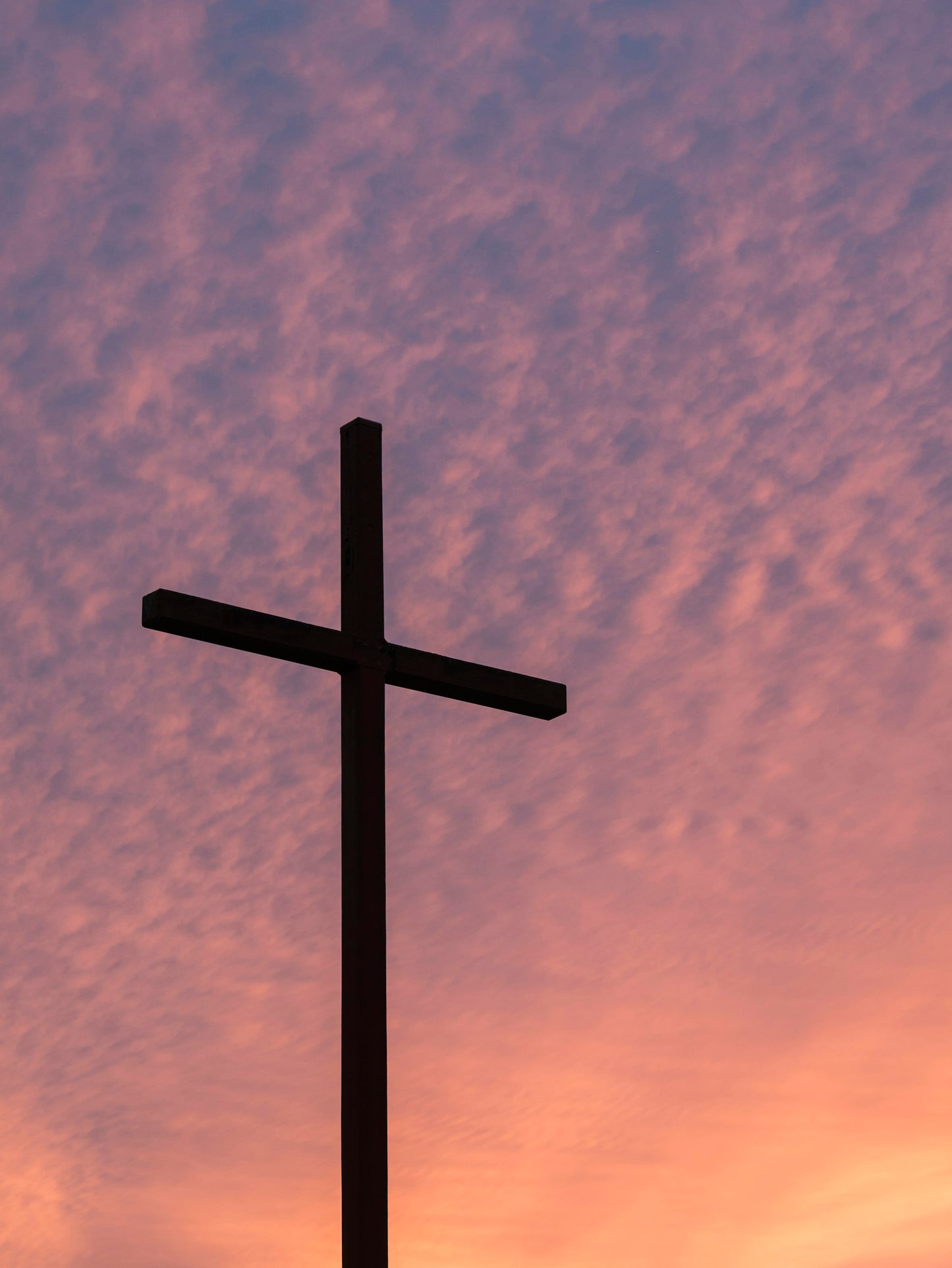 Becoming Community: Biblical Meditations