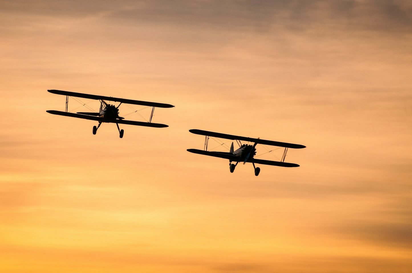 Warbirds Around the World