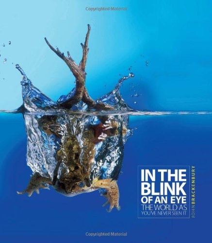 In the Blink of an Eye: The World as You've Never Seen It