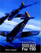 Focke-Wulf Fw 190 (Combat Legends)