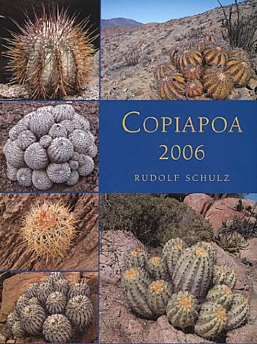 Copiapoa 2006