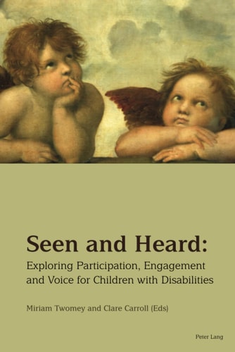 Seen and Heard: Exploring Participation, Engagement and Voice for Children with Disabilities